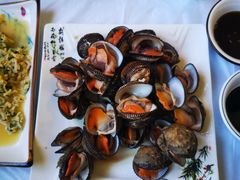 特色手工鲅鱼水饺-宾朋海鲜饭庄(兴海路店)