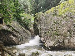 -牛背梁国家森林公园