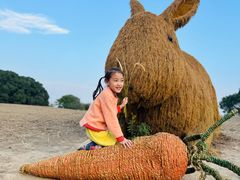 -嘉北郊野公园