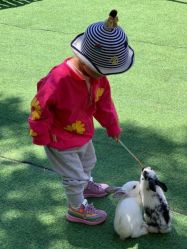 -萌宠亲子动物乐园(槐房万达店)