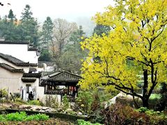-塔川景区