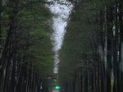 -上海怡沁园度假酒店