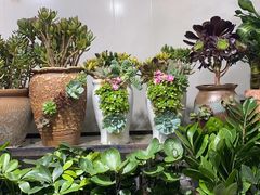 -循礼门鲜花花市(武汉循礼门店)