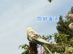 -海棠花溪(元大都城垣遗址公园)