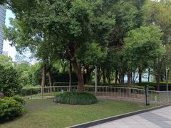 -北外滩滨江绿地