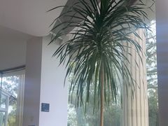 -莫内艺术岛海景咖啡
