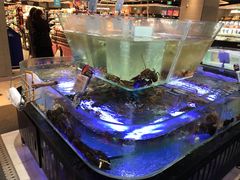 -盒马鲜生(悠方店)