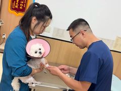 -米苏动物医院·犬猫专科·骨科外科内窥镜