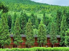 -武陵山森林公园