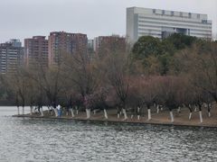 -天鹅湖体育公园