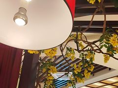 -老阿爸鲜鱼土菜(园区永旺店)