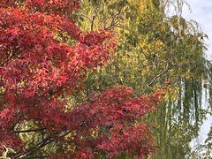 -昆山城市生态森林公园