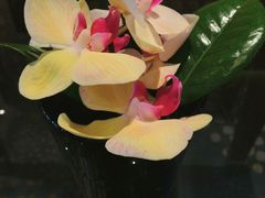 大堂-上海新发展亚太JW万豪酒店