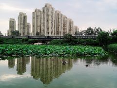 -前关湿地公园