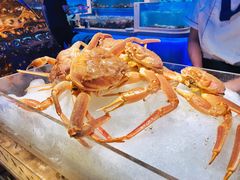 -乔哥铭洋海鲜自助(皇城恒隆广场店)