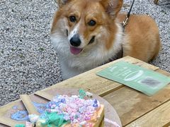 -J Create城市露营咖啡·简餐·宠物(上海动物园店)