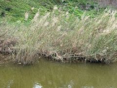 -神光山国家森林公园