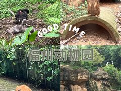 -福州动物园