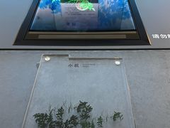 -鸿山遗址博物馆