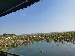 -渔娘蟹庄(阳澄湖莲花岛店)