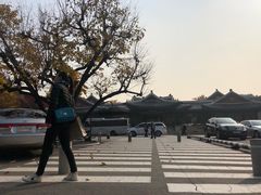 -新罗免税店(首尔总店)