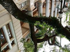 android_upload_pic-香港大学