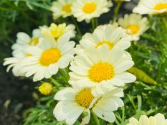 -北京植物园南门售票处