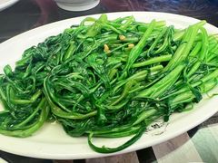 炒空心菜-吴记富苑(朝阳店)