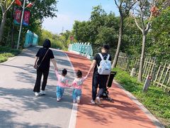 -上海长兴岛郊野公园