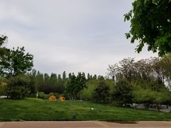 -五环公园