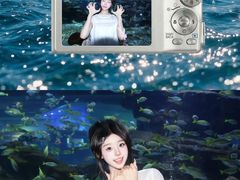 -海合安武汉极地海洋公园