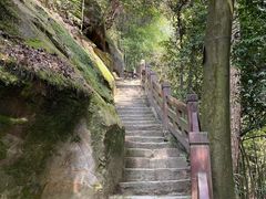 -缙云山景区