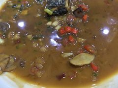 -全乐鱼馆·淳牌有机鱼直营店