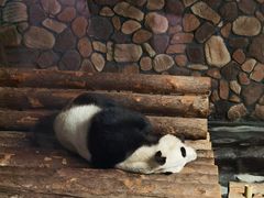 -济南野生动物世界