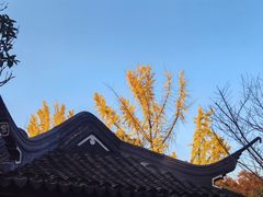 -秋霞圃