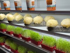 -番食园鲜食火锅(高新店)