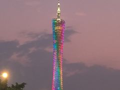 -珠江琶醍