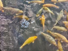 -乌布德传统市场