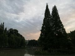-温江公园