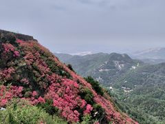 -木兰云雾山