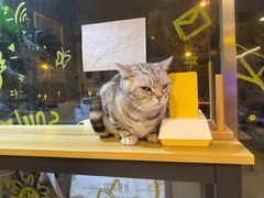 -平行世界·猫咖(首经贸店)