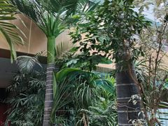 -固安来康郡来康温泉