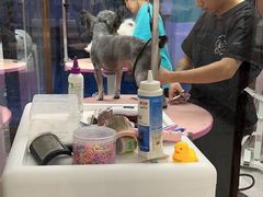 -FAELING PETS美天灵宠物(富力广场店)