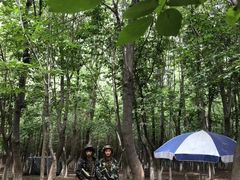 -亲兄弟真人CS团建拓展基地