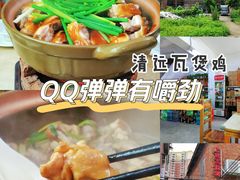 -上南瓦煲鸡·清远鸡·老字号(总店)