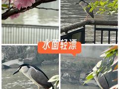 -上海嘉定喜来登酒店
