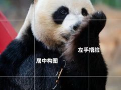 -广州长隆野生动物世界