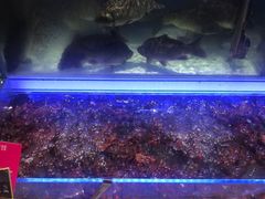 -大润发(国兴店)
