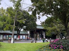 -桂湖森林公园