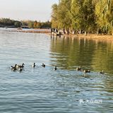 刷公园 南海子